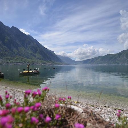 Apartments Goran Kotor Zewnętrze zdjęcie