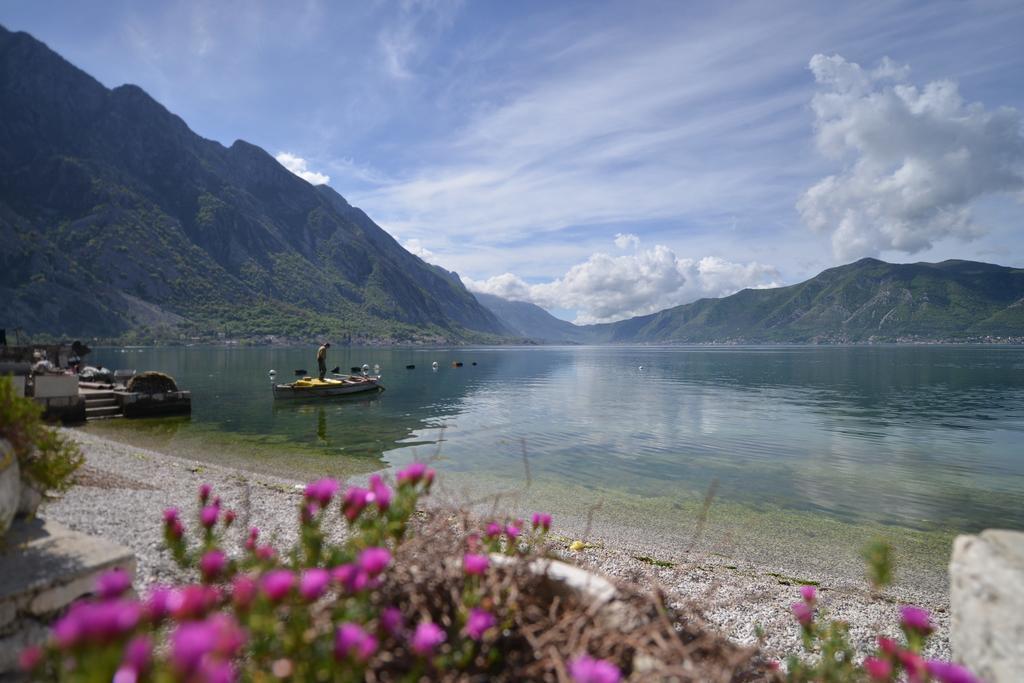 Apartments Goran Kotor Zewnętrze zdjęcie